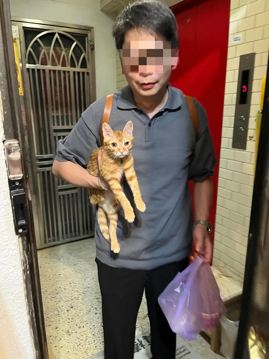 博主发现猫逃家立刻去追，抓到猫后才发现自己没穿裤子…咪：这不是变态吗